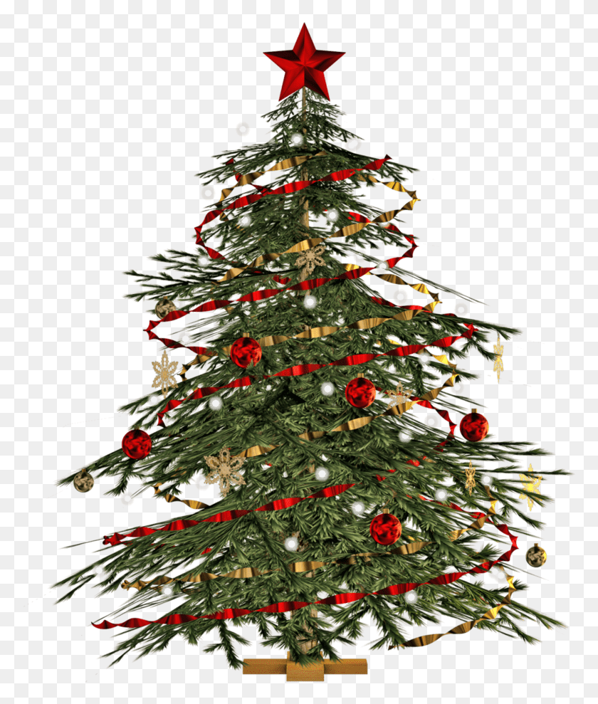 778x929 Transparent Christmas Tree, Christmas Tree, Ornament, Plant HD PNG Download