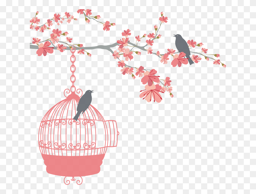 644x575 Transparent Collection Of Birdcage Bird And Cage, Plant, Flower, Blossom Descargar Hd Png