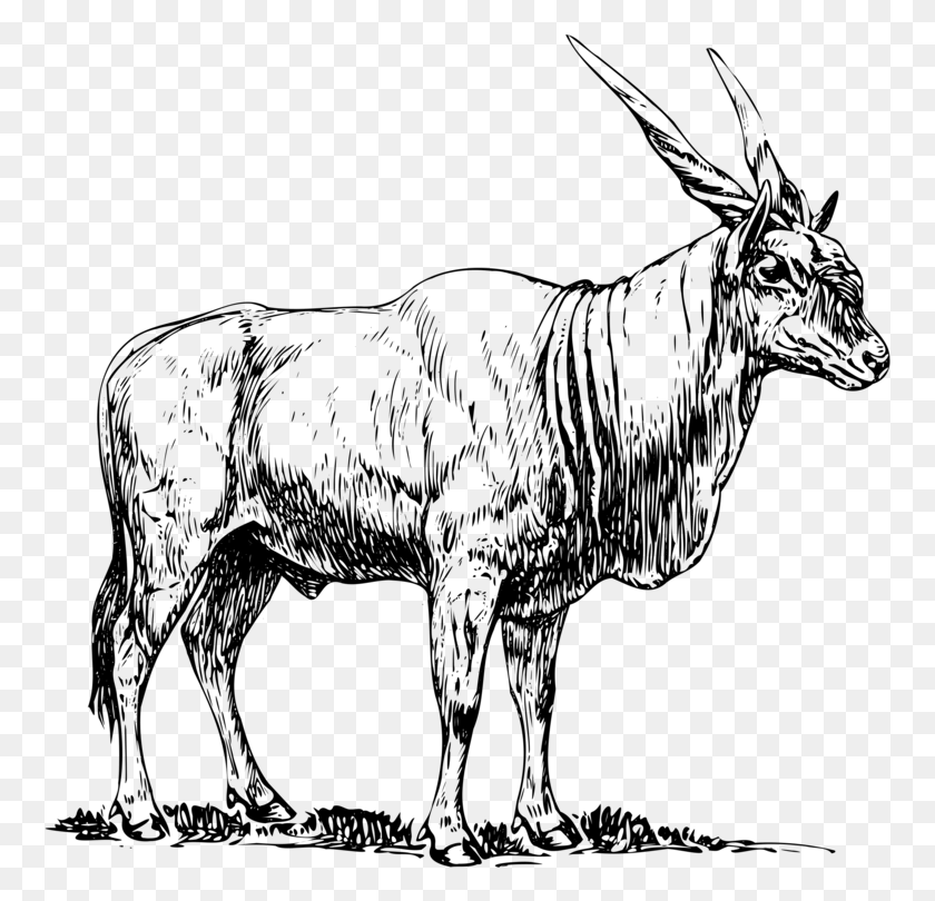 761x750 Transparent Common Eland Drawing Eland Black And White, Gray, World Of Warcraft HD PNG Download