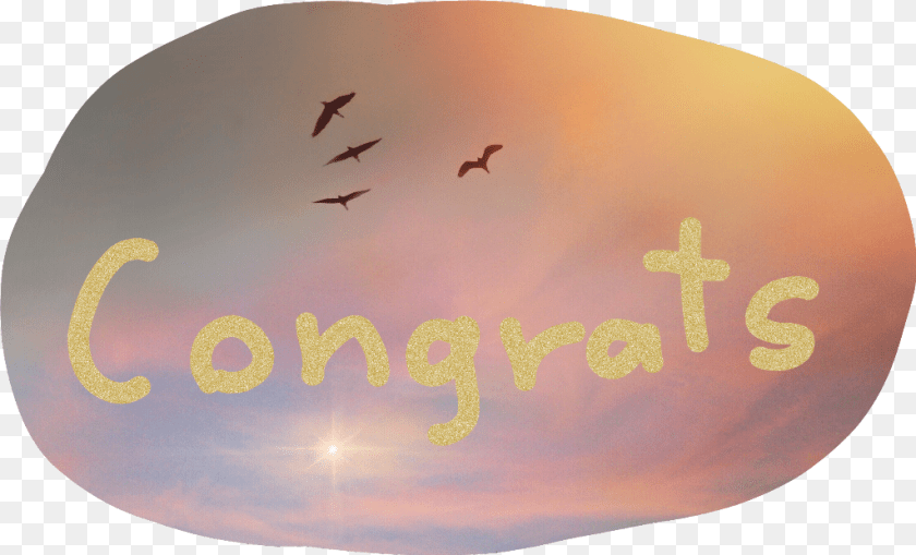 1024x621 Congrats Dragonfly, Animal, Bird, Flying, Nature Transparent PNG