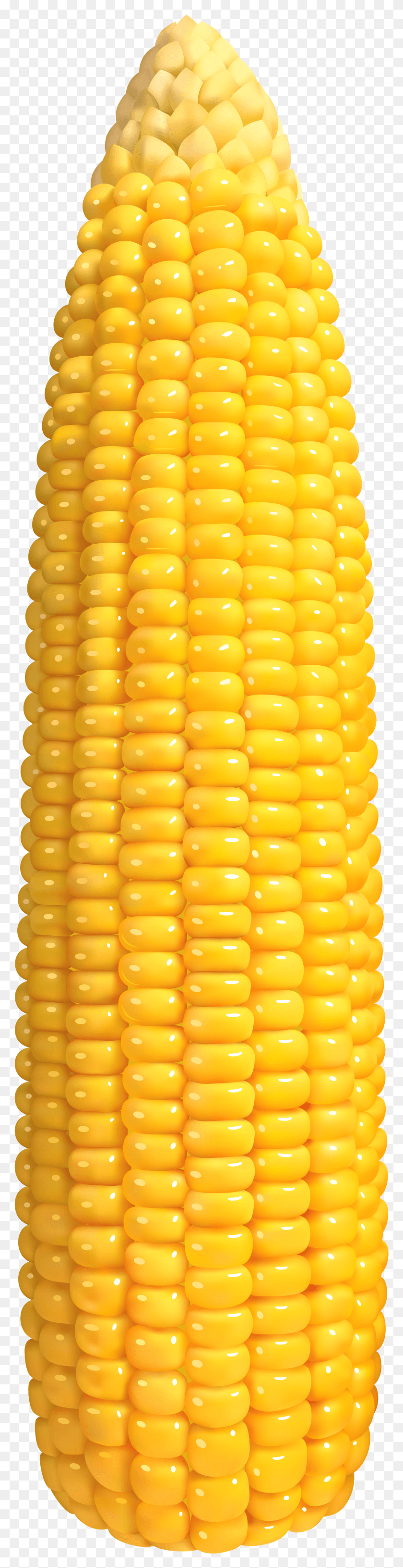 1930x7925 Transparent Corn HD PNG Download
