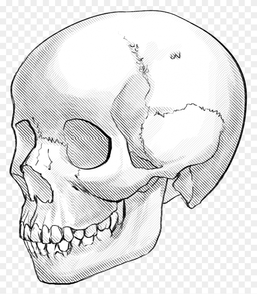 1306x1509 Transparent Cross Hatch Pattern Skull, Sketch HD PNG Download