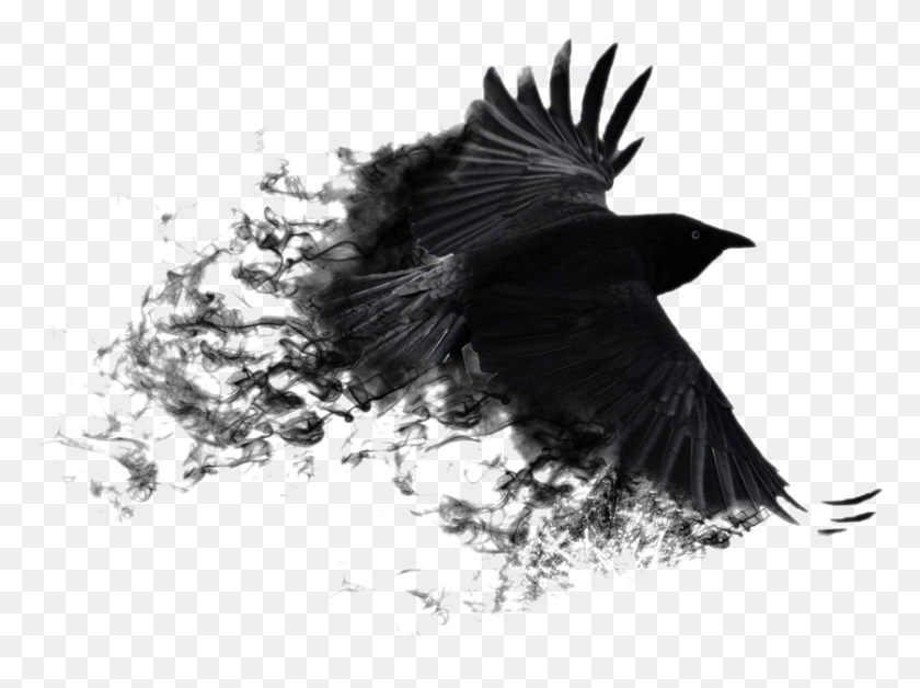 839x611 Transparent Crow Wings Black And White Crow Background, Bird, Animal, Flying HD PNG Download