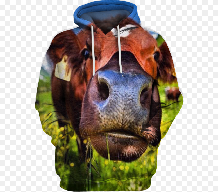 576x742 Transparent Cute Cow Photograph, Snout, Sweatshirt, Clothing, Hoodie PNG