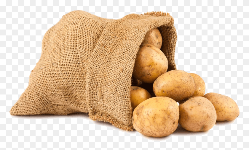 952x547 Transparent Cute Potato Sack Of Potatoes, Vegetable, Plant, Food HD PNG Download