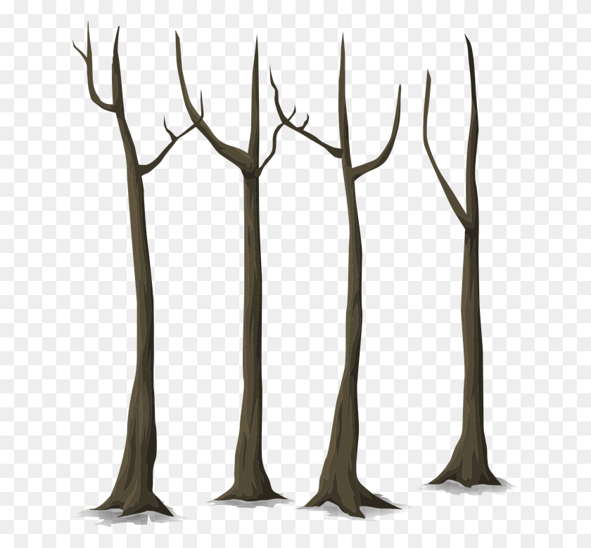 633x720 Png Изображение - Темный Лес. Мертвые Деревья. Png.