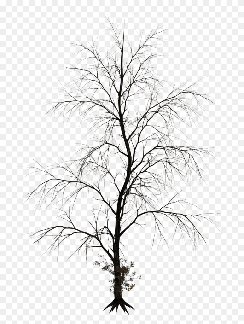 946x1276 Transparent Dead Tree Haunted Tree Black And White, Nature, Outdoors, Night Descargar Hd Png