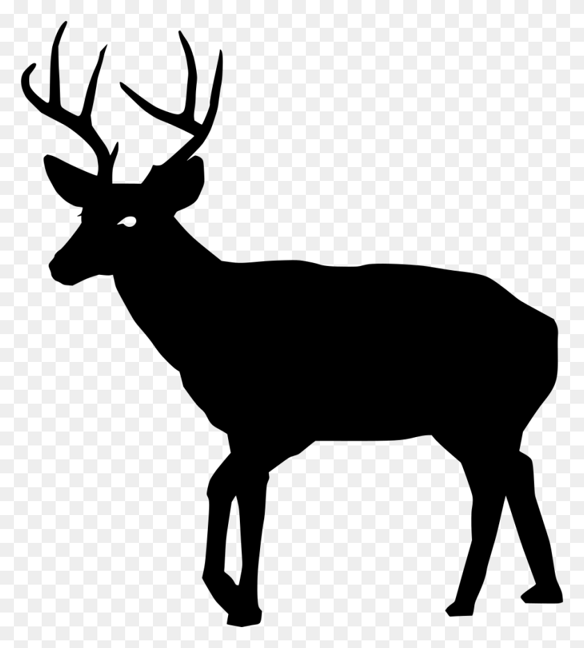 916x1024 Transparent Deer Silhouette, Gray, World Of Warcraft HD PNG Download