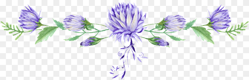 1017x328 Dividing Line Flowers Watercolor Line, Flower, Plant, Purple, Petal Transparent PNG