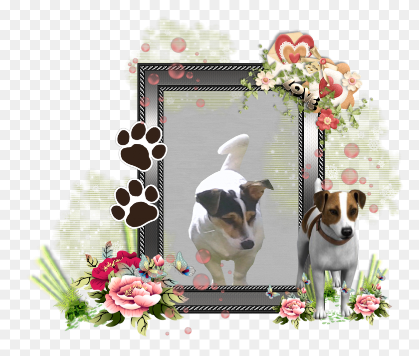 1036x868 Transparent Dog Frame, Plant, Pet, Canine HD PNG Download