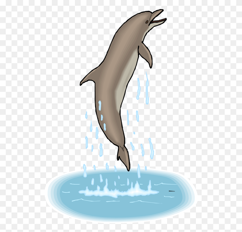 534x748 Transparent Dolphins Clipart Dolphins And Their Food, Milk, Beverage, Drink HD PNG Download
