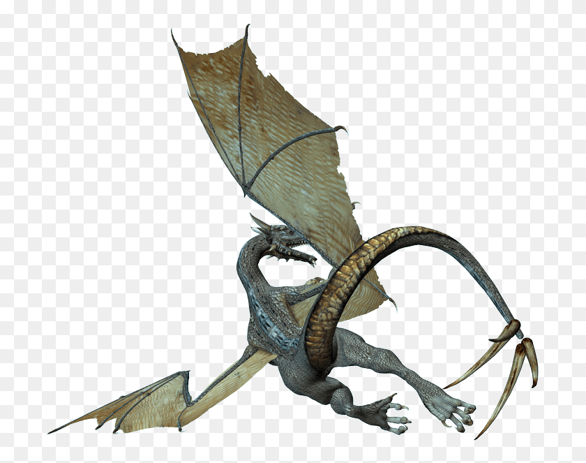 711x603 Transparent Dragon Images Portable Network Graphics, Hook, Snake, Reptile HD PNG Download