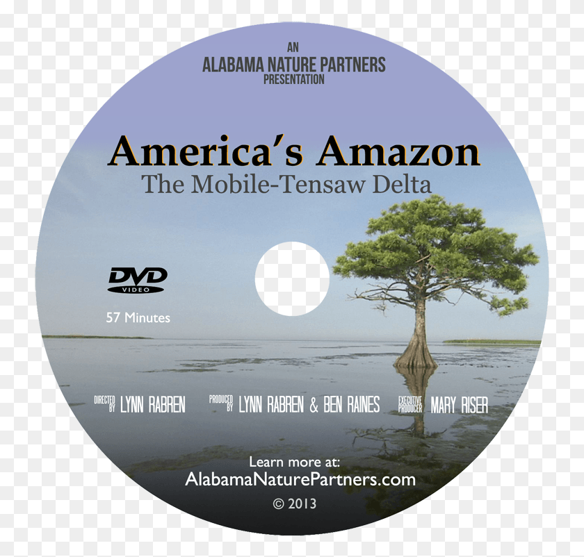 741x742 Descargar Png Transparente Dvd Amazon Dvd, Disco, Árbol, Planta Hd Png