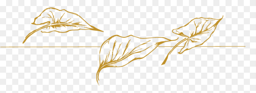 962x352 Transparent Enchantress Transparent Gold Leaf, Body Part, Hand, Person, Animal Sticker PNG