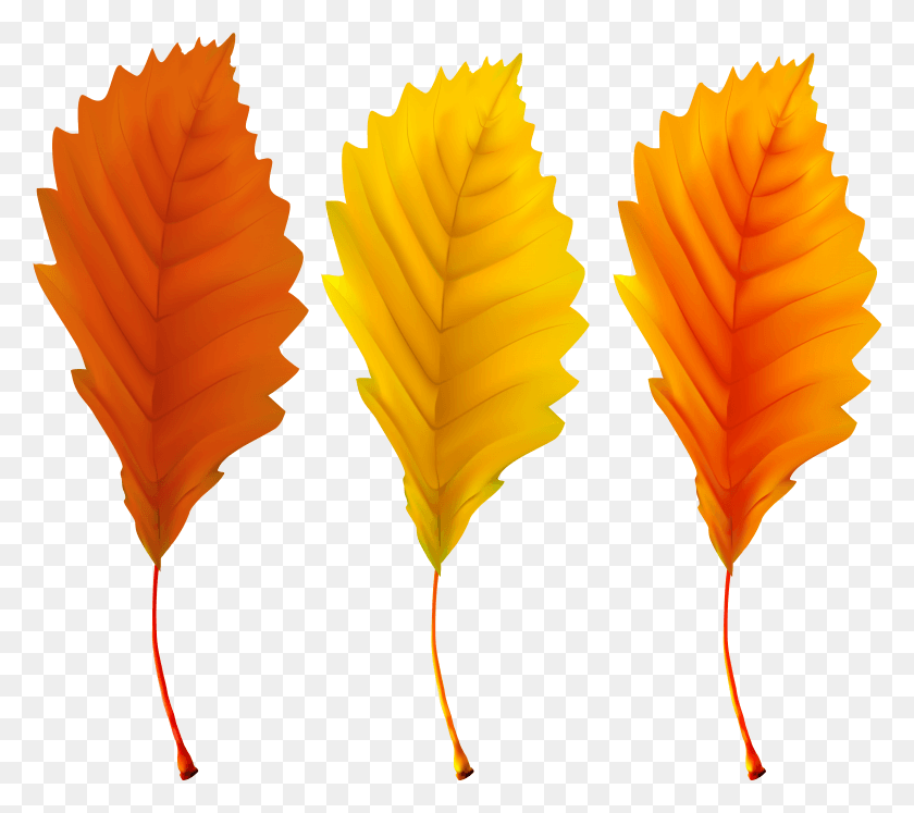 7883x6944 Transparent Falling Leaves Clipart HD PNG Download