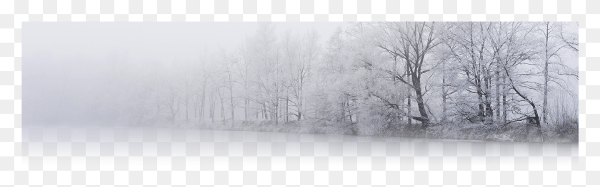 1921x500 Прозрачный Снегопад Снег, Природа, На Открытом Воздухе, Зима Hd Png Скачать