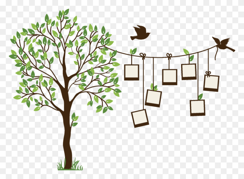 800x572 Transparent Family Tree Clipart Bedroom Wall Painting Design, Tree, Plant, Leaf HD PNG Download