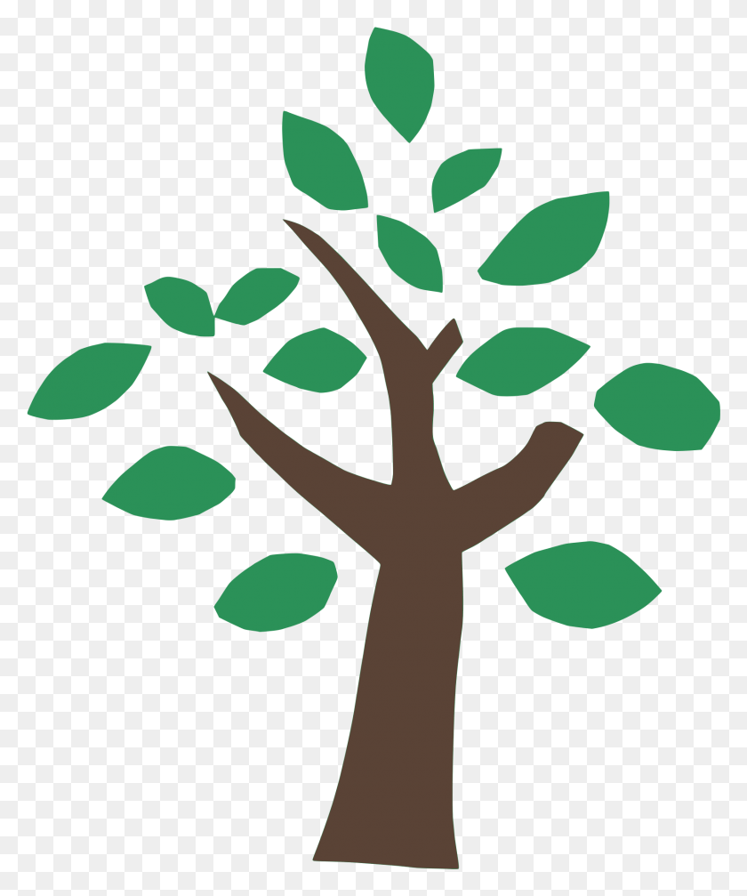 1681x2041 Png Зеленое Дерево На Викискладе С Расширением Wikimedia Commons