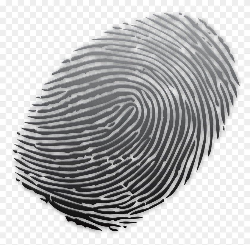 1249x1221 Transparent Fingerprints, Spiral, Coil, Rug HD PNG Download