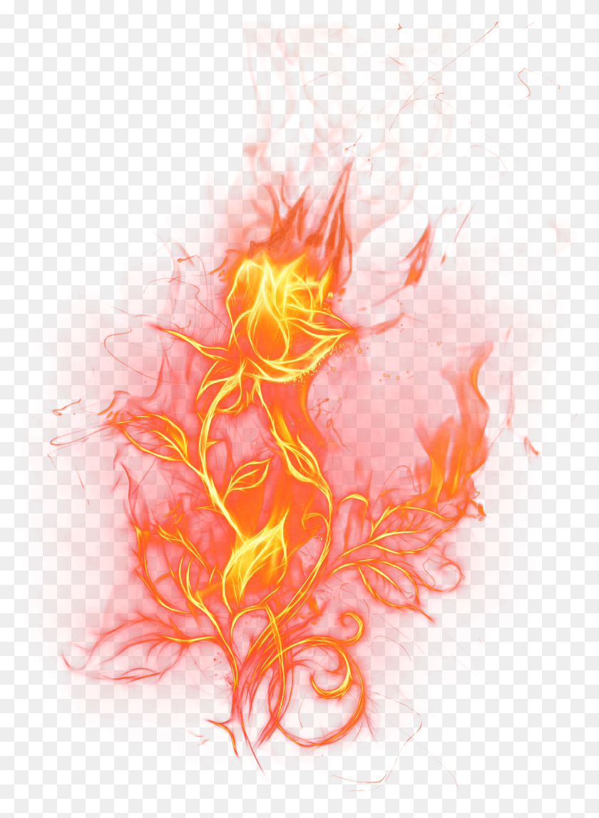 2943x4103 Transparent Fire Rose Clipart Picture Fire Rose Transparent Background HD PNG Download