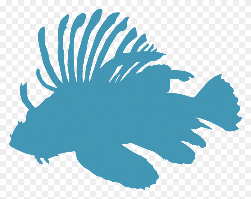 1385x1080 Прозрачная Рыба Значок Рыба Гарибальди, Животное, Золотая Рыбка Hd Png Скачать