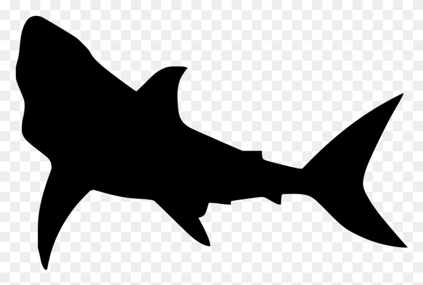 989x641 Transparent Fish Swimming Great White Shark Silhouette, Gray, World Of Warcraft HD PNG Download