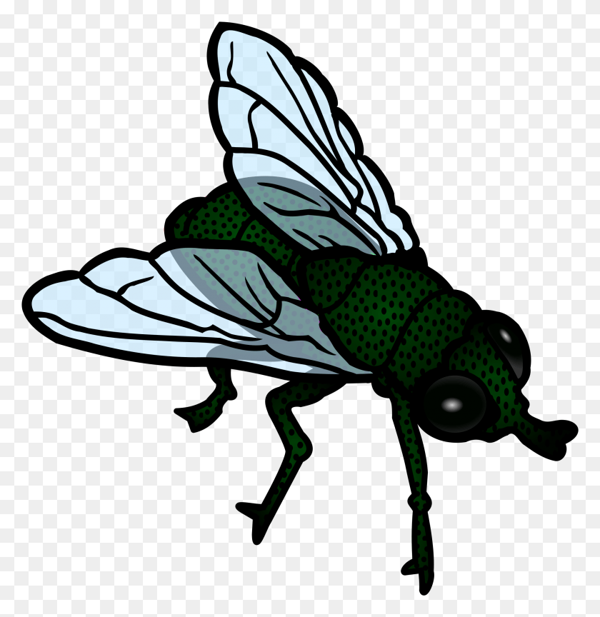 2188x2256 Transparent Flies Clipart, Insect, Invertebrate, Animal HD PNG Download