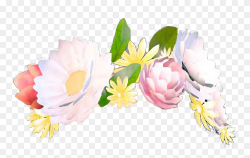 979x592 Прозрачный Цветок Корона Tumblr Цветок Корона Snapchat Фильтр, Растение, Пыльник, Лепесток Png Скачать