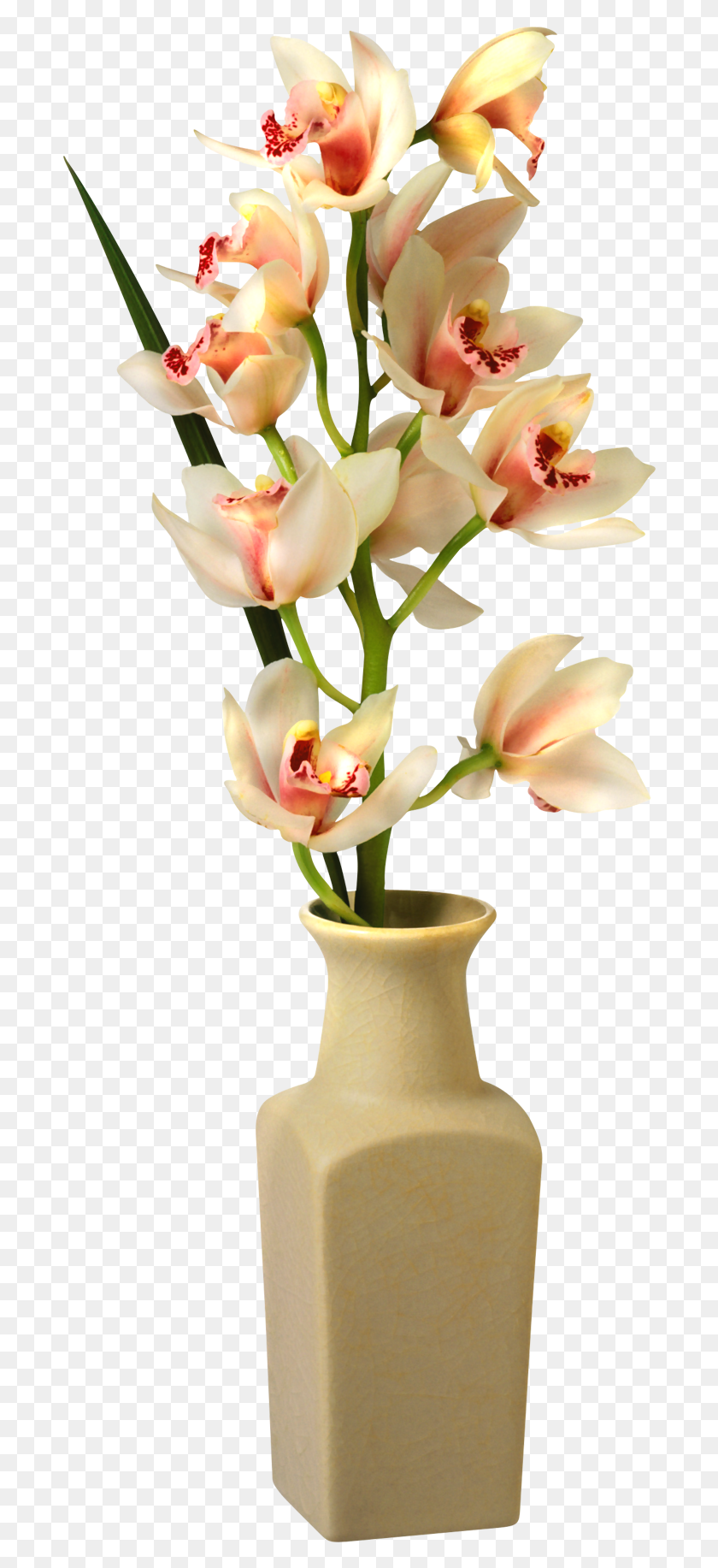 694x1773 Transparent Flowers In Vase, Plant, Jar, Pottery HD PNG Download