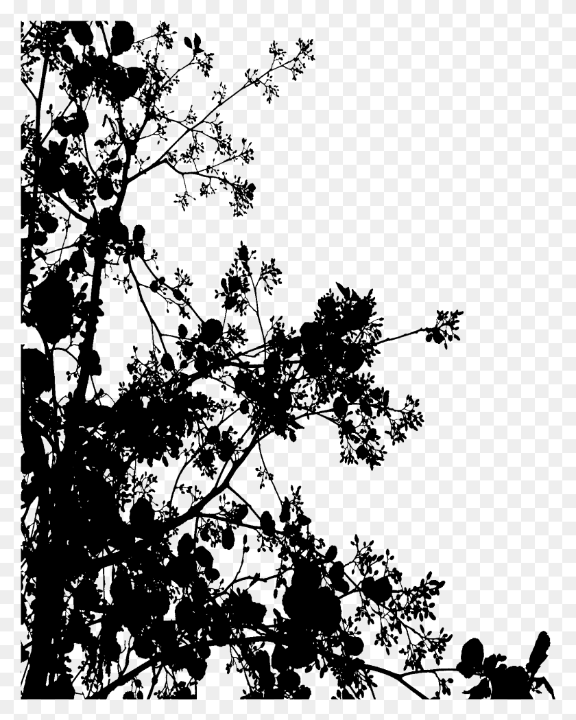 1578x2001 Прозрачные Цветы Tumblr Черно-Белый Черный Прозрачный Цветок, Серый, Мир Варкрафта Png Скачать