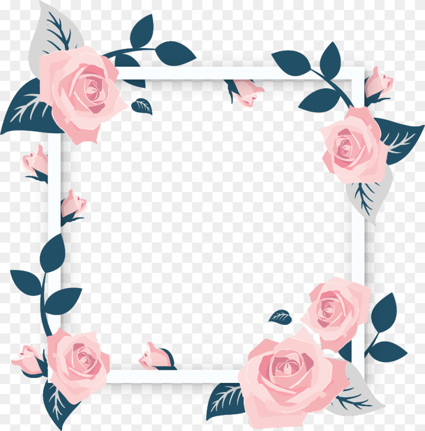 1024x1040 Transparent Frame Flower, Plant, Rose, Art Sticker PNG