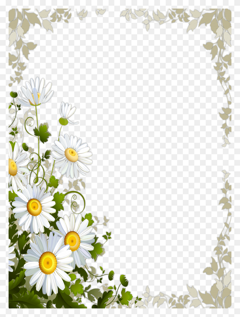 3169x4266 Прозрачная Рамка С Ромашками, Рамка Ромашки, Растение, Цветок, Цветение Png Скачать