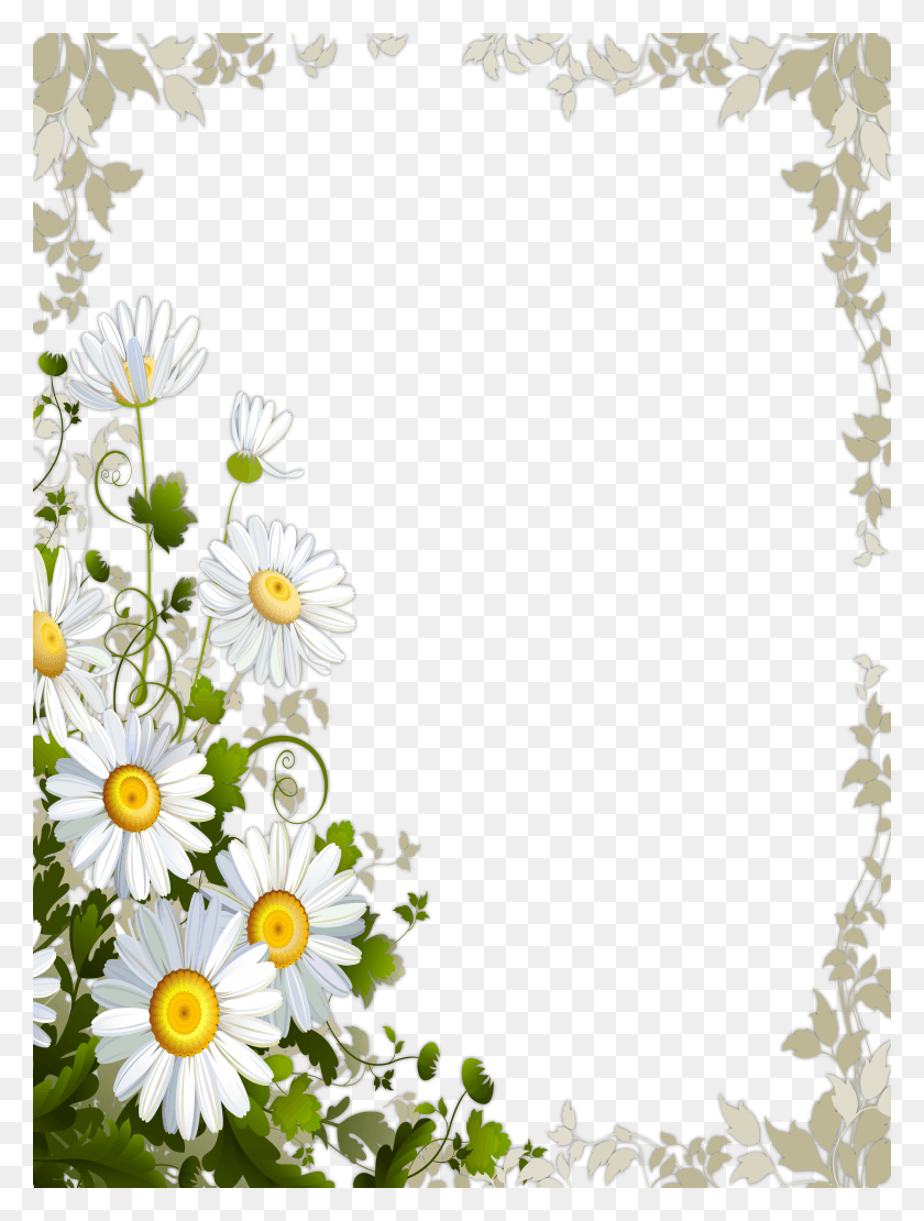 3169x4266 Descargar Png Marco Transparente Con Margaritas Marco De Margarita, Planta, Flor, Flor Hd Png