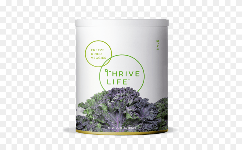 461x461 Transparent Freeze Dried Food, Kale, Cabbage, Vegetable HD PNG Download