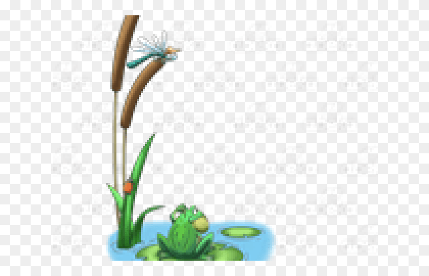 640x480 Transparent Frog In Pond Clipart Toad, Plant, Flower, Blossom HD PNG Download