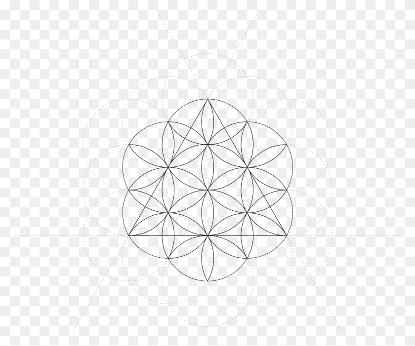 3242x2666 Transparent Geometric Patterns Circle, Spider Web, Pattern, Ornament HD PNG Download