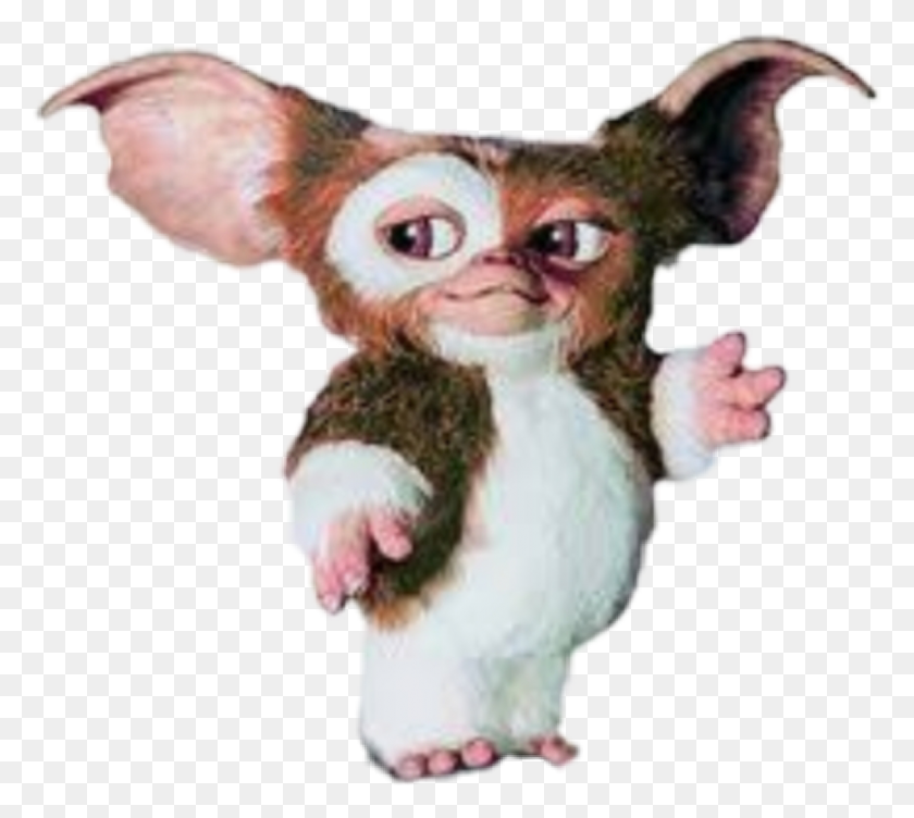 867x770 Transparent Gizmo Gizmo Gremlins, Person, Human, Mammal HD PNG Download