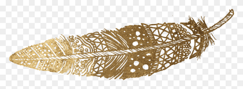 2298x737 Transparent Gold Feather, Plant, Outdoors, Archaeology HD PNG Download
