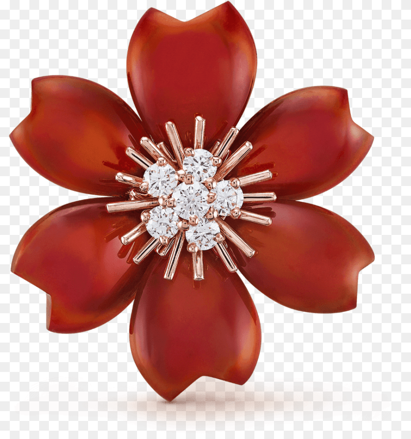Transparent Gold Rose Van Cleef Amp Arpels, Accessories, Jewelry, Brooch Sticker PNG