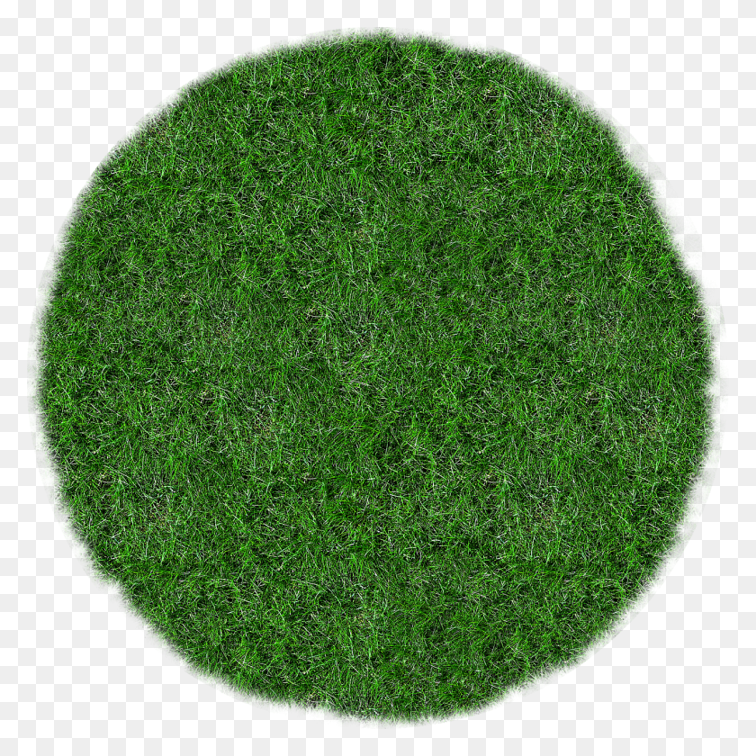 1280x1280 Transparent Grass Circle, Moss, Plant, Rug HD PNG Download