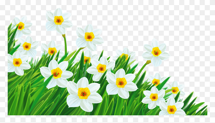 4995x2707 Transparent Grass With Daffodils Clipart Plants Clip Art Transparent, Plant, Flower, Blossom HD PNG Download