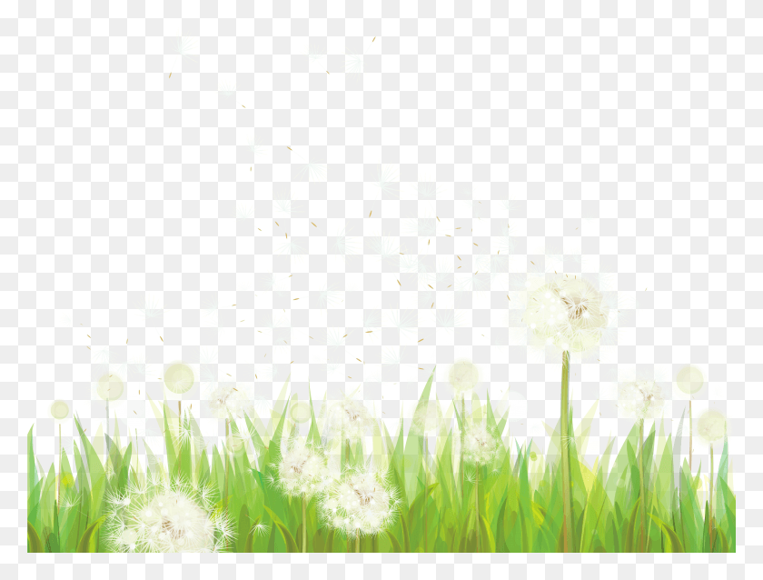 6001x4450 Transparent Grass With Dandelions Clipart Grass Transparent Footer HD PNG Download