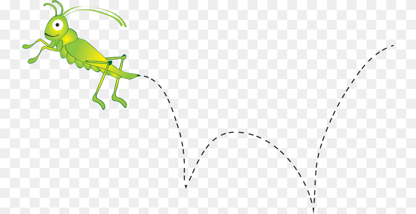 751x433 Grasshopper Grasshopper Hop Clipart, Animal, Insect, Invertebrate, Cricket Insect Transparent PNG