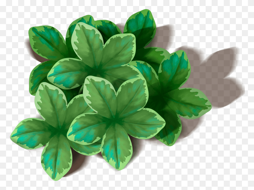 1700x1246 Прозрачный Зеленый Лист Цветок, Лист, Растение, Комнатное Растение Hd Png Скачать