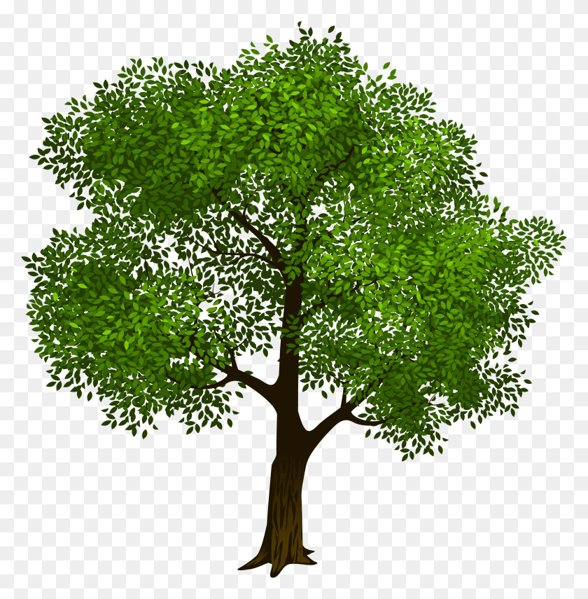 4655x4750 Transparent Green Tree Clipart Picture M1423128566 Transparent Background Tree Clipart HD PNG Download