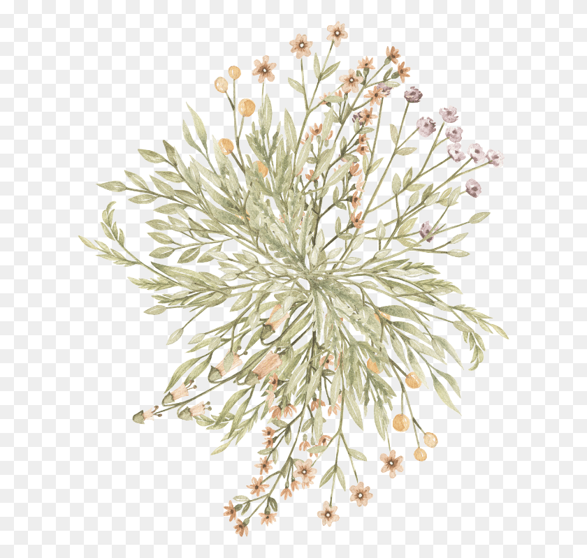 618x739 Transparent Grevillea, Pattern, Outdoors, Nature HD PNG Download