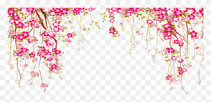 1025x456 Transparent Hanging Vines Border Flowers Vector, Floral Design, Pattern, Graphics Descargar Hd Png