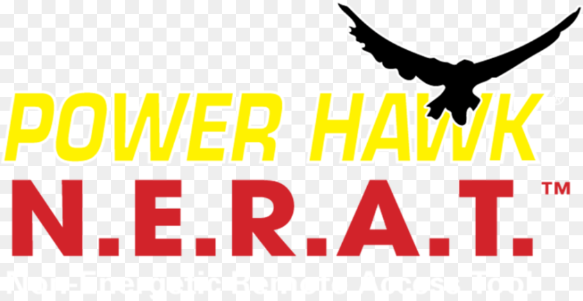 Hawk Power Hawk Technologies, Animal, Bird, Flying, Pigeon Transparent PNG