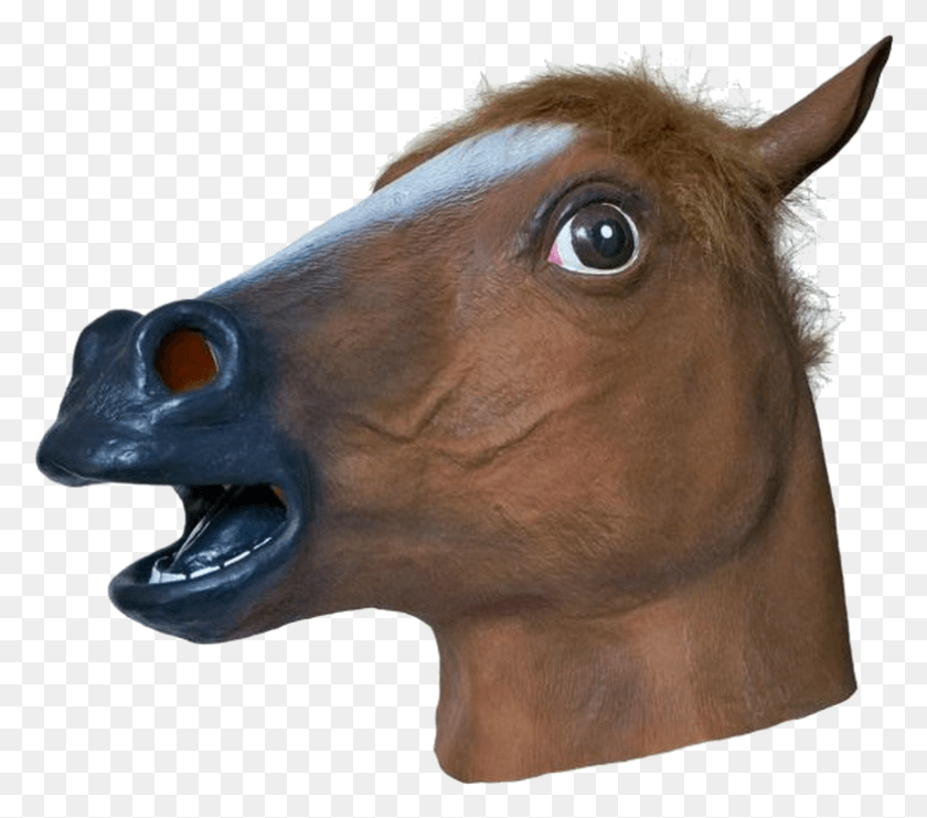 790x690 Transparent Horse Mask, Head, Snout, Mammal HD PNG Download