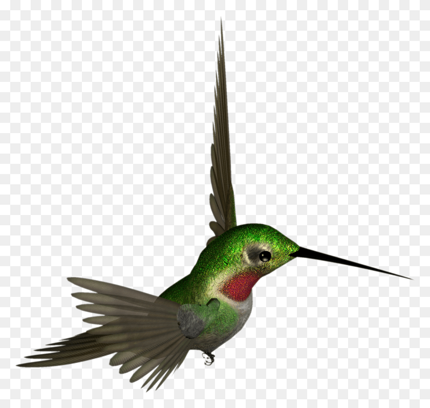 1600x1513 Transparent Hummingbird Clipart Beautiful Bird Hummingbird Clipart, Animal, Bee Eater HD PNG Download